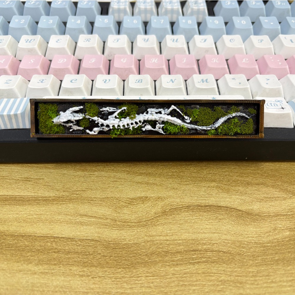 أغطية مفاتيح بتصميم عظم التنين - مراجعة Keycaps Spacebar 6.25U Custom وسعره